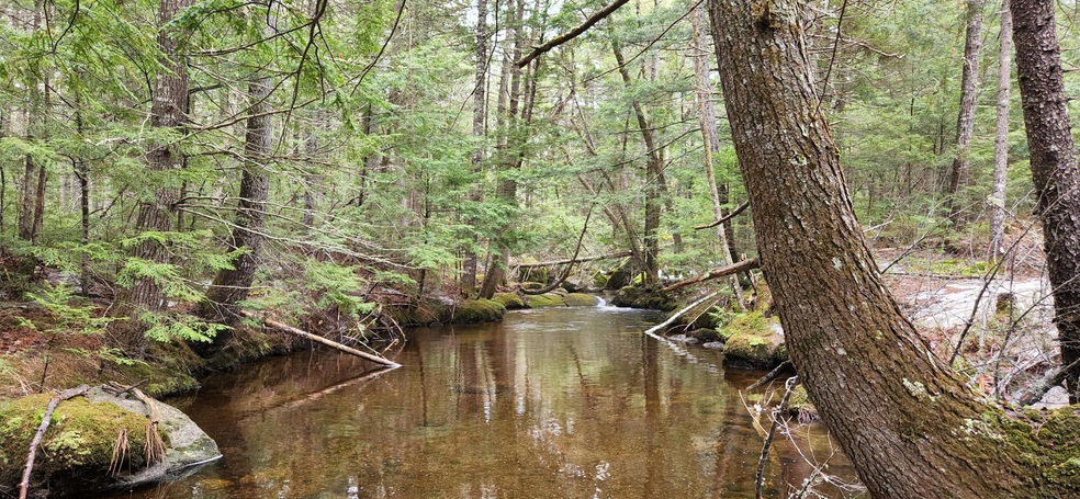 Sucker Brook