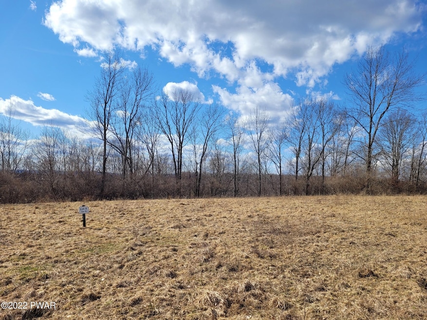 17 Summit View Ct, Honesdale, PA 18431 - photo 1