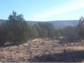 3831 N Lore Way, Ash Fork, AZ 86320 - photo 1