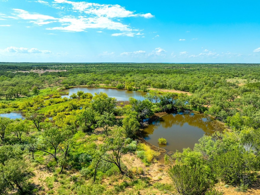 Drone / aerial view of a heavily wooded area and a large body of water