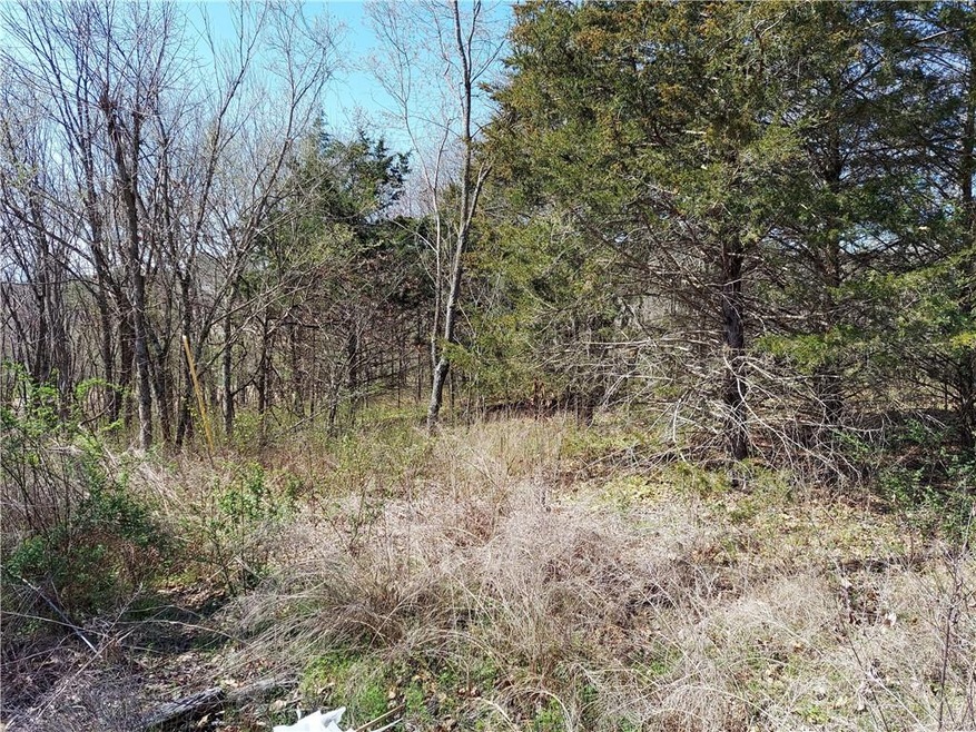 35 Oniell Cir, Bella Vista, AR 72715 - photo 1