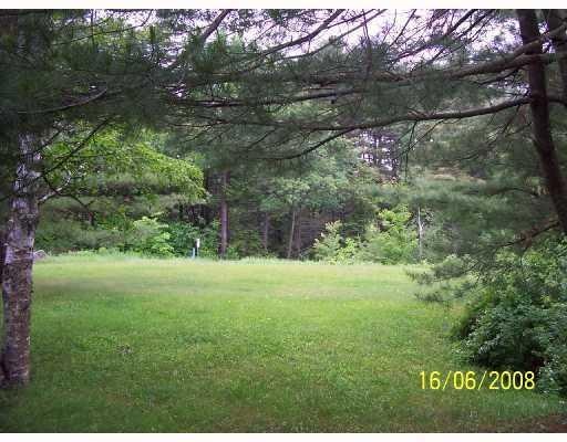 Land. lot with trees along road