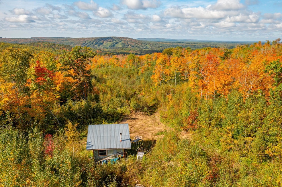 TBD Hwy 135, Biwabik, MN 55708 - photo 1