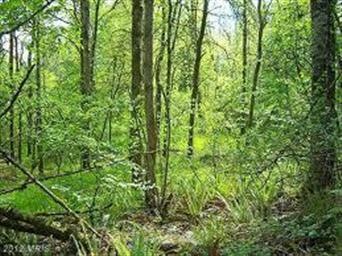 1 B Caliber Ln, Hedgesville, WV 25427 - photo 1