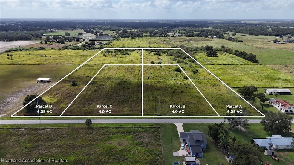 445 Metheny Rd, Wauchula, FL 33873 - photo 1