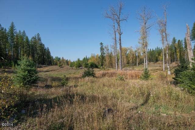 Nice flat land