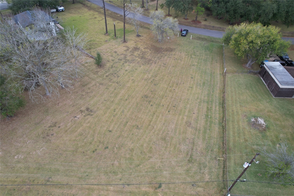 12322 Thornbriar Dr, Brookside, TX 77581 - photo 1