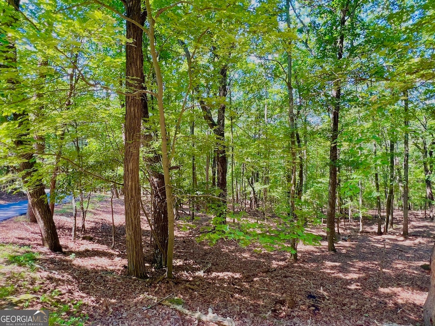 Sold $5,000 • Co-Listing Agent