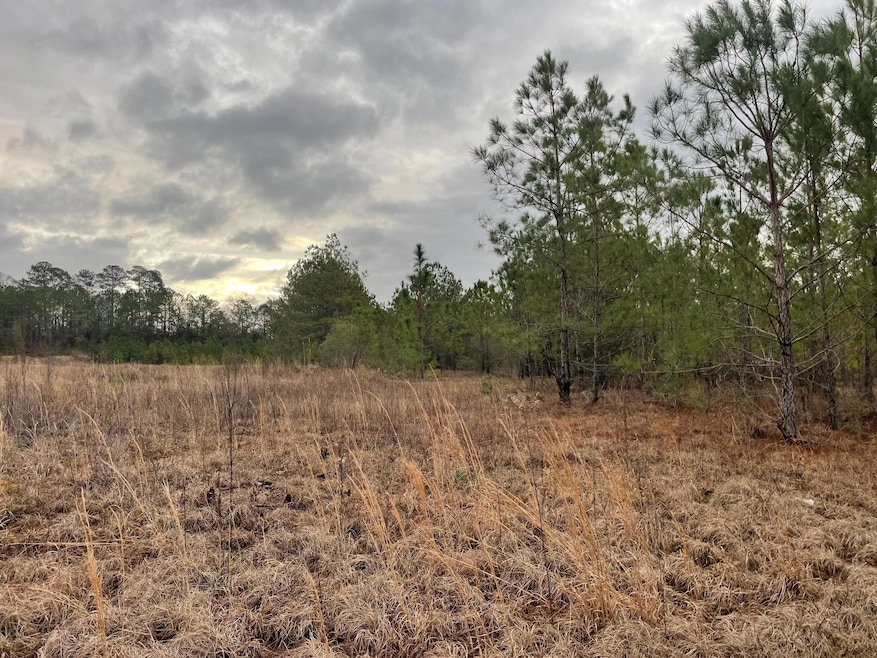 lot 8 Sumrall Rd, Columbia, MS 39429 - photo 1