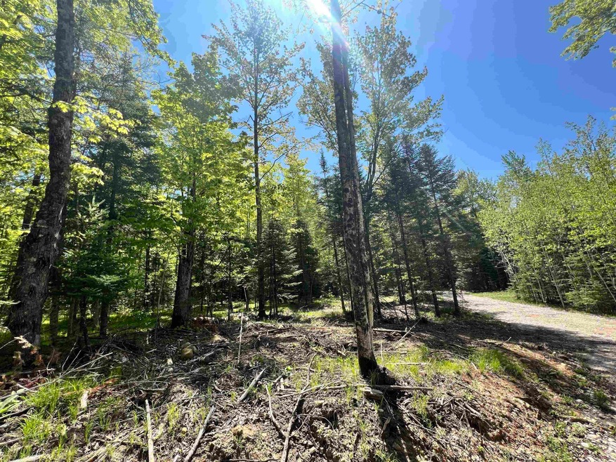 0 Willow Heights Ln, Porterfield, WI 54159 - photo 1