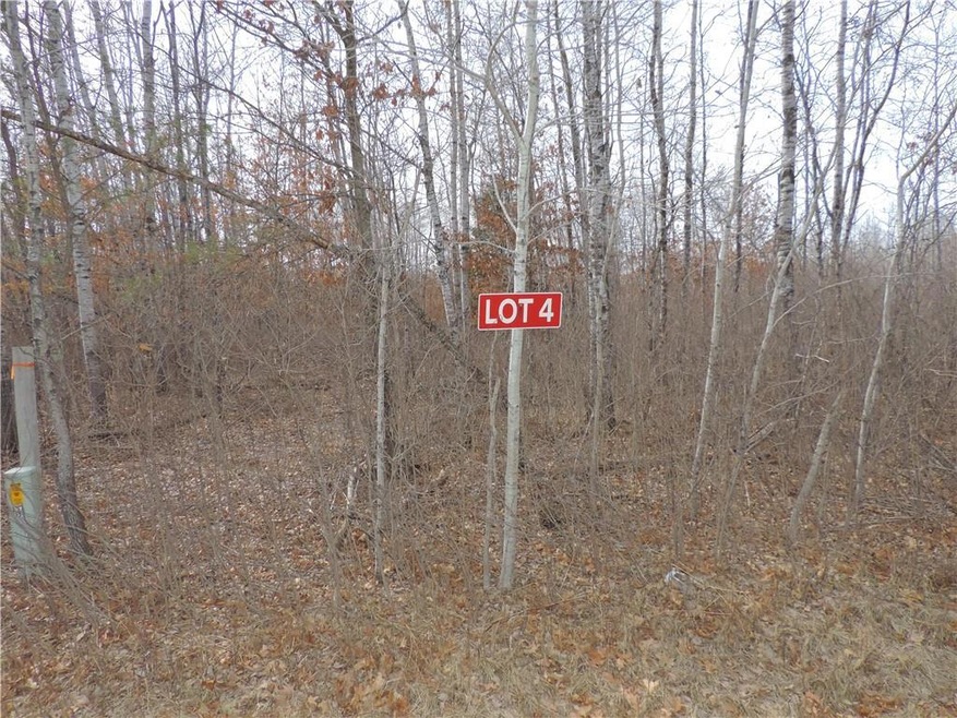 LOT 4 Minerva Dam Rd, Swiss, WI 54830 - photo 1