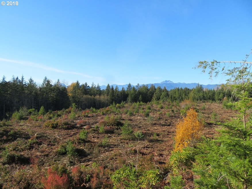 0 Wayne Rd W unit 5 18192863, Seabeck, WA 98380 - photo 1