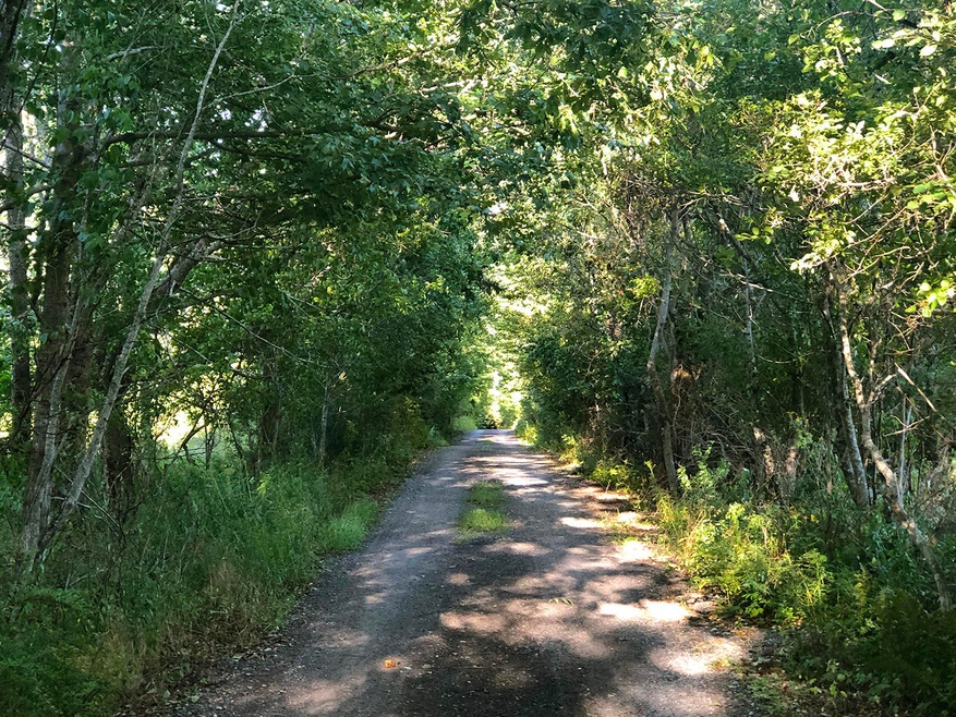CountryLane