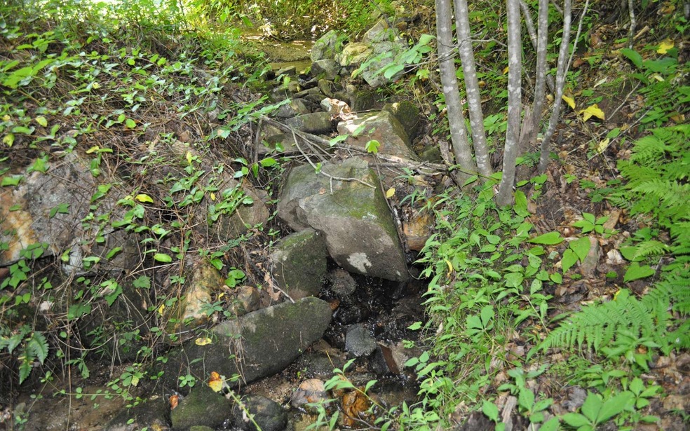 LT 18 Richlen Ridge Rd, Morganton, GA 30560 - photo 1