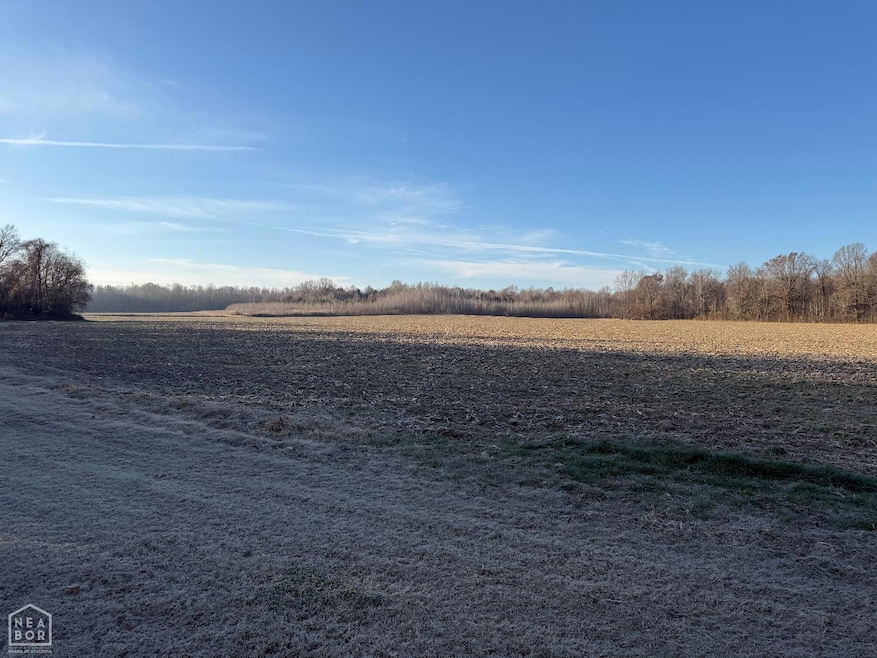 1 Clay 457 Rd, Pollard, AR 72456 - photo 1