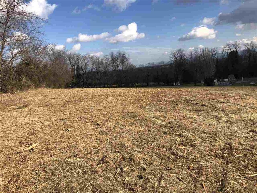 6 Captain Hizer Ln, Fort Defiance, VA 24437 - photo 1