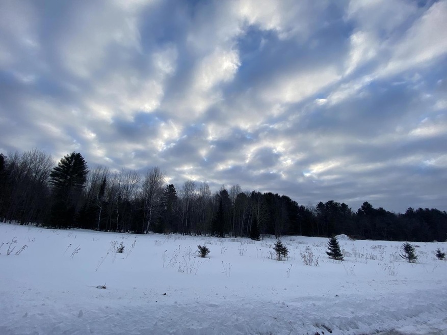 9.86 Ac Biehl Rd, Porterfield, WI 54159 - photo 1