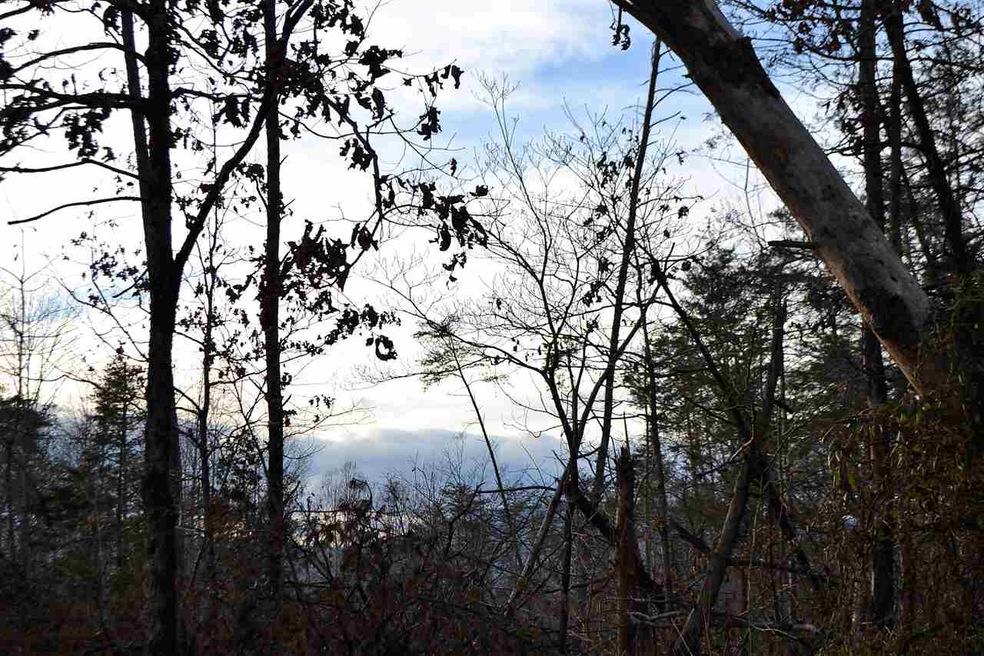 Lot 30 Springbranch Tr, Monroe, VA 22973 - photo 1