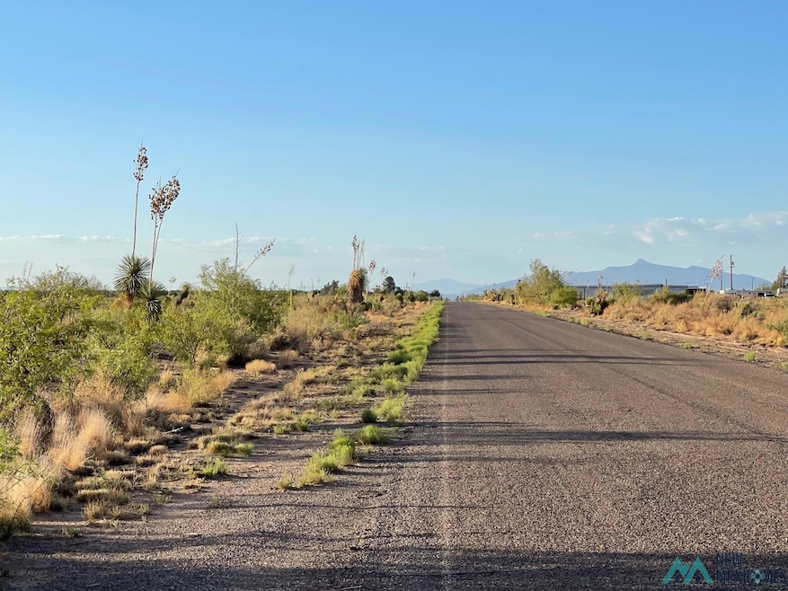 0 Yucca Land Estates unit 20253822, Deming, NM 88030 - photo 1