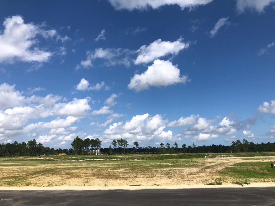 5349 Barcroft Lake Dr, Leland, NC 28451 - photo 1