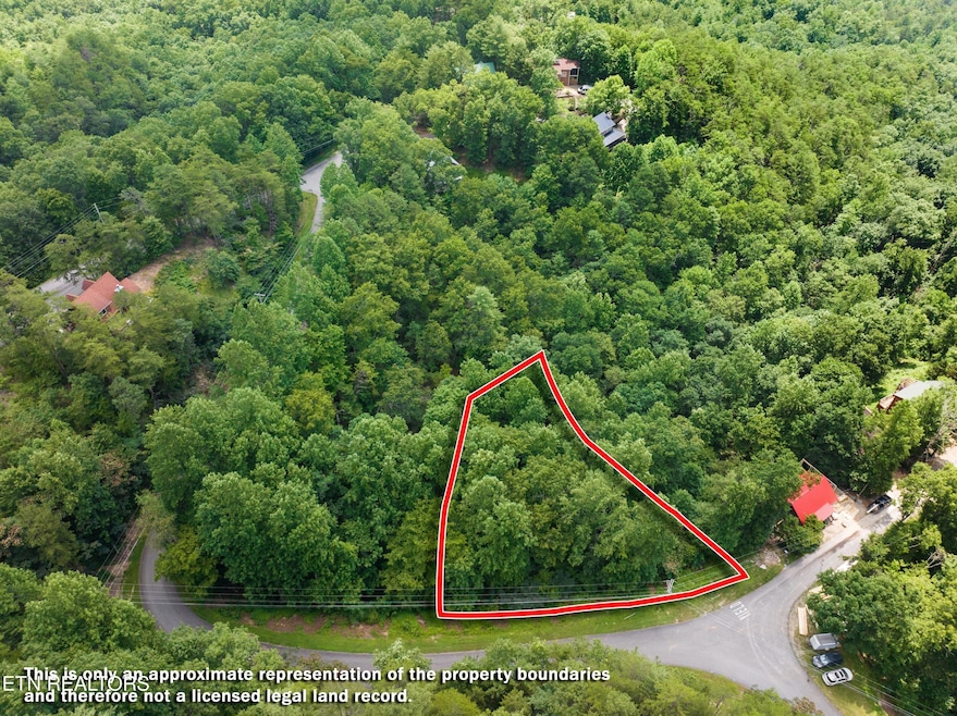 001-1005LaurelRoad-Townsend-TN-37882-SMA