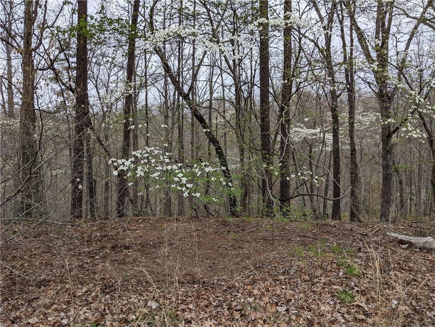 Lot 71, Block 3 Eden Ln, Bella Vista, AR 72714 - photo 1