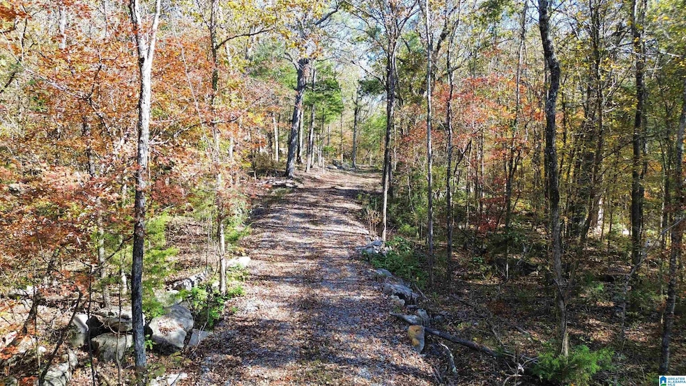 0 Mill Creek Rd unit 21437437, Warrior, AL 35180 - photo 1