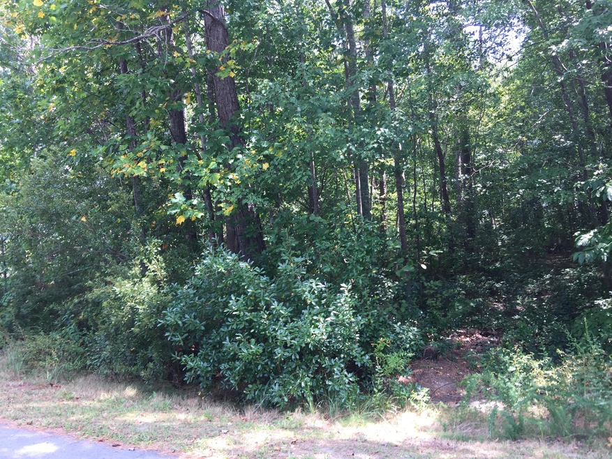 Lot Pic
