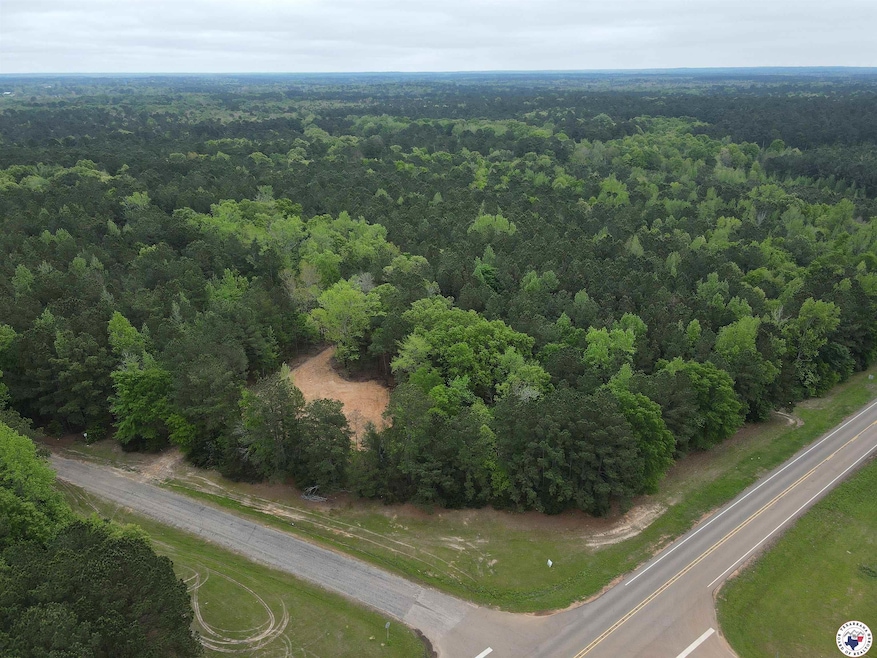 TBD CR 3 Fm 3129 -8 38, Queen City, TX 75572 - photo 1