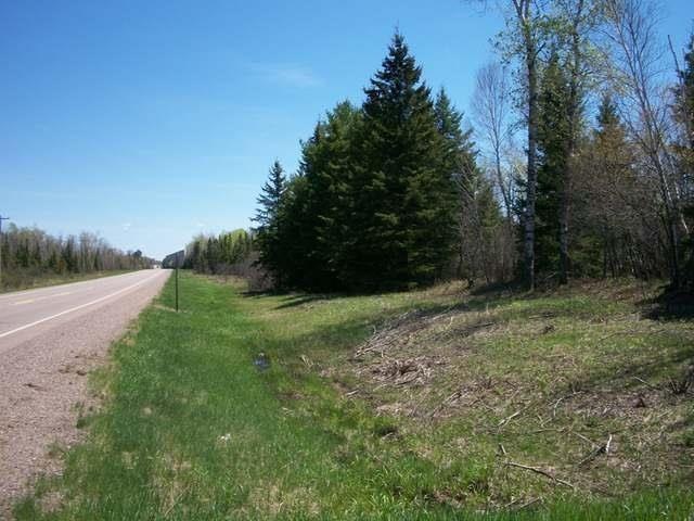 N9395 Hwy 86, Tomahawk, WI 54487 - photo 1