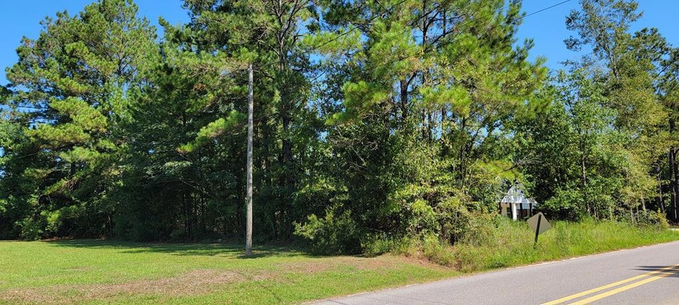 2622 Jackson Landing Rd, Picayune, MS 39466 - photo 1