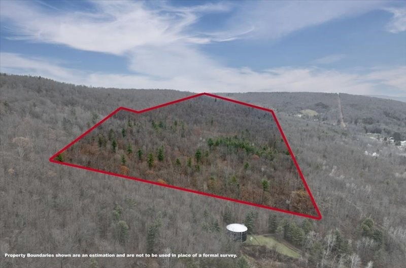 14 College View Rd, Dickinson, NY 13905 - photo 1