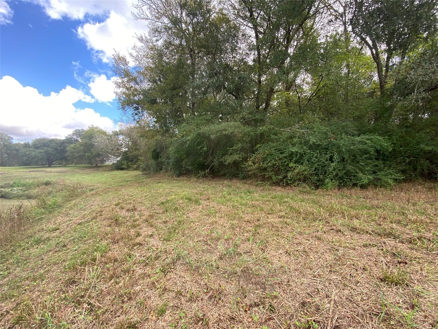 00001 Oak Bend Dr, Alvin, TX 77511 - photo 1