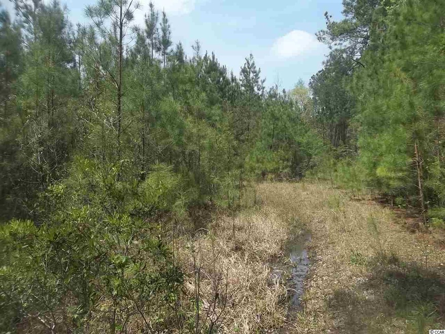 0 Coastal Oaks Dr, Conway, SC 29527 - photo 1