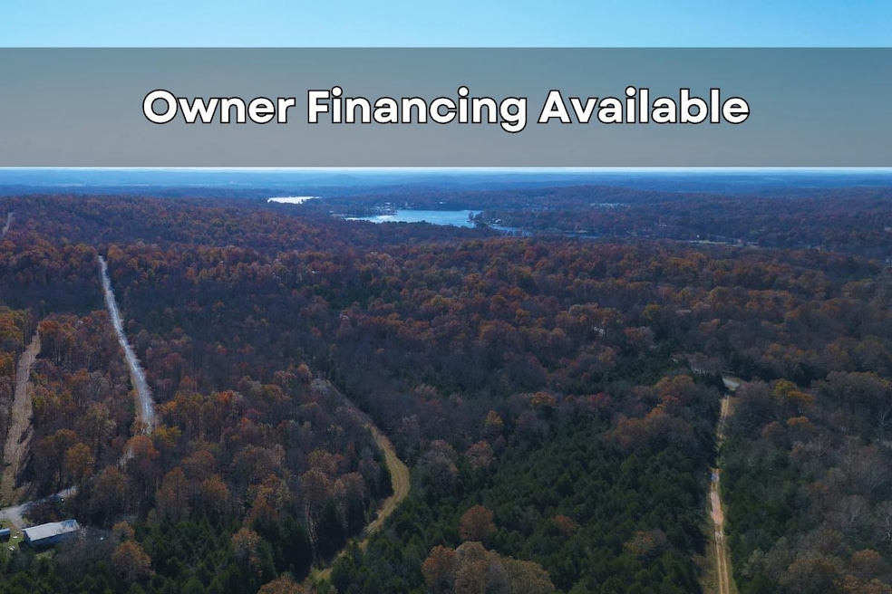 1207 Santa fe Rd, Horseshoe Bend, AR 72512 - photo 1