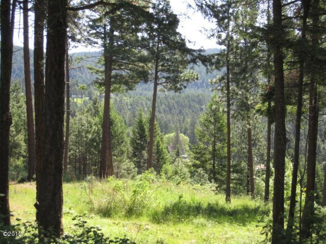 Nhn Lakeview Terrace, Bigfork, MT 59911 - photo 1