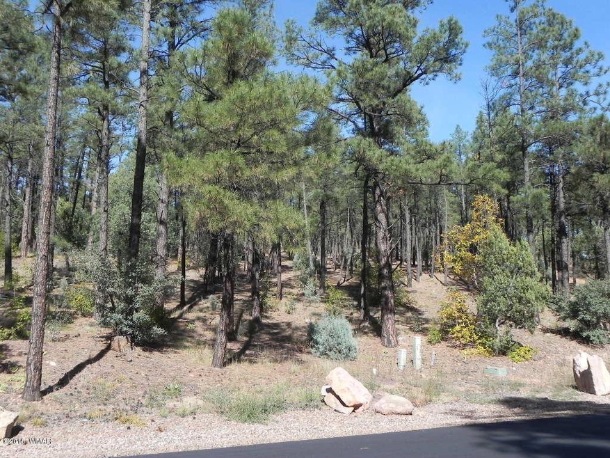 Lot 2 Pine Oaks 003