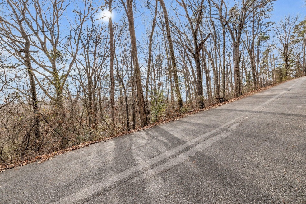 0 Longview Dr unit RTC2660146, Rossville, GA 30741 - photo 1