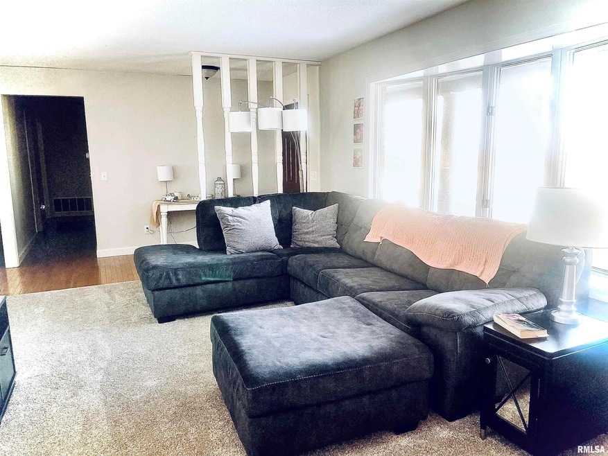 801 S Cottonwood St, Virginia, IL 62691 - photo 1