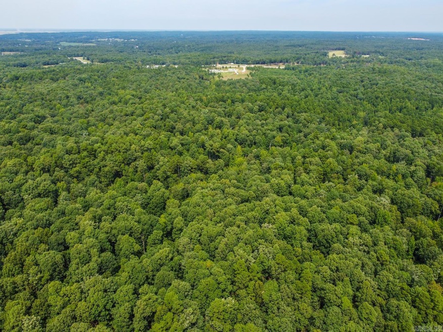 200 Acres Greene 718 and 707 Rd, Paragould, AR 72450 - photo 1