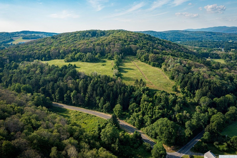 926 Old Route 22, Millerton, NY 12546 - photo 1