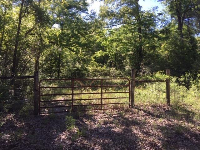 434 Mary Ann Dr, Crawfordville, FL 32327 - photo 1