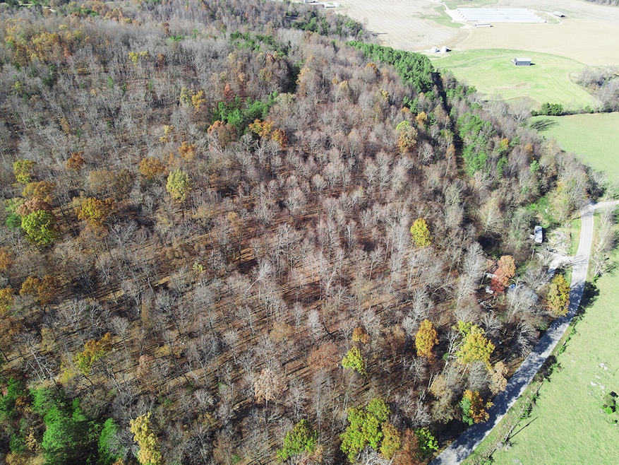 6310 Hwy 200, Monticello, KY 42633 - photo 1