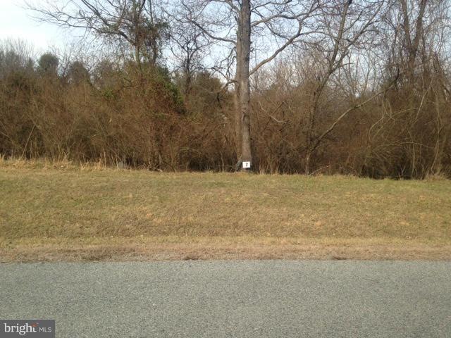 0 Shveda Way unit 1000221635, Shepherdstown, WV 25443 - photo 1