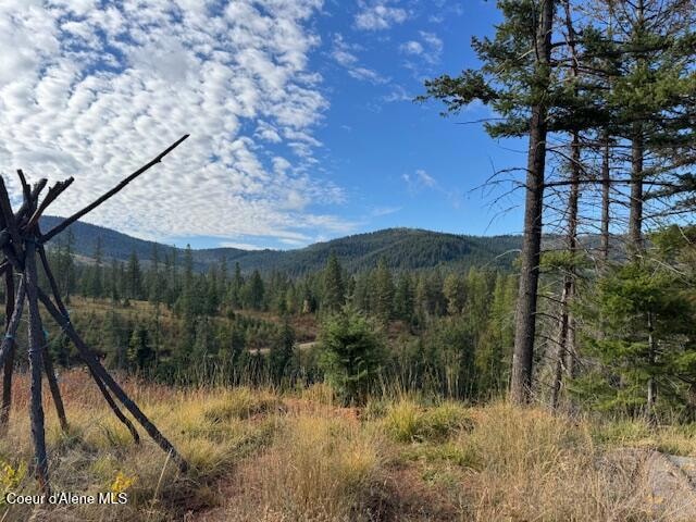 NKA Rd, Tensed, ID 83870 - photo 1