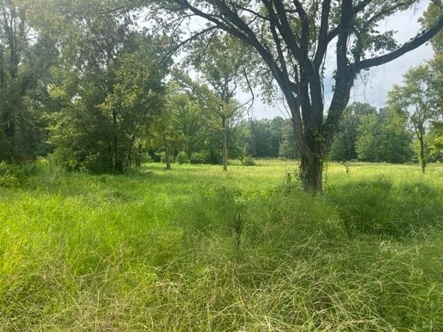 0 Love Station Loop unit RTC3022275, Hernando, MS 38632 - photo 1