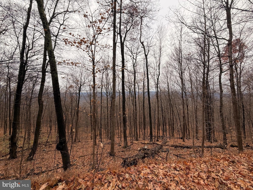 6.71 AC LOT 9 Gobbler Rd, Hedgesville, WV 25427 - photo 1