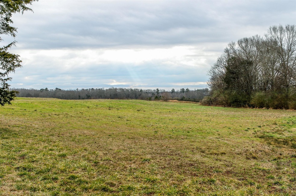 0 Seminary Rd, Manchester, TN 37355 - photo 1