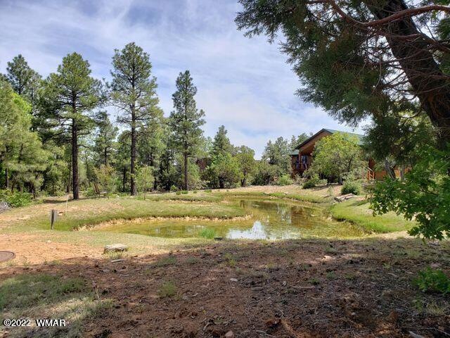 Pond