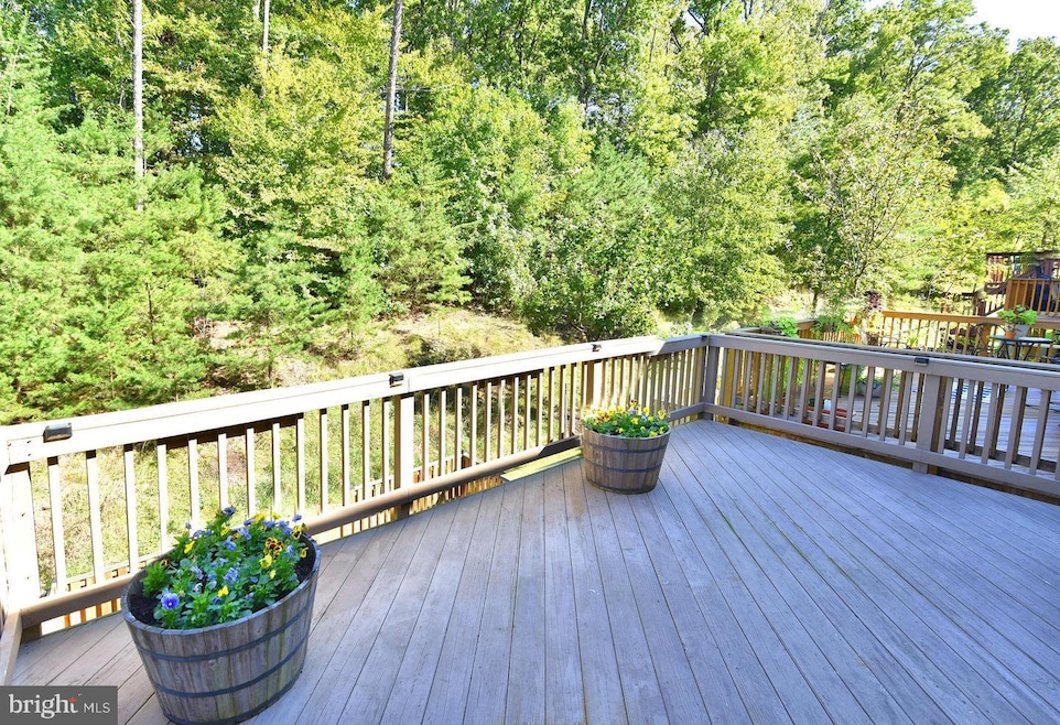 2525 Running Wolf Trail, Odenton, MD 21113 - photo 1